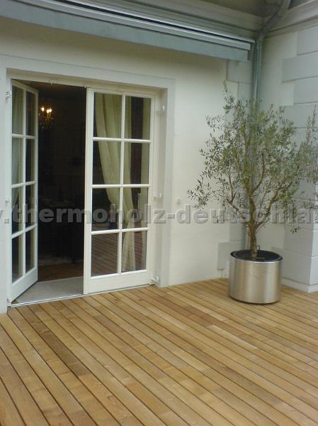 DSC00644.JPG - gedämpfte Akazie hell